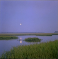 moonset-over-marsh